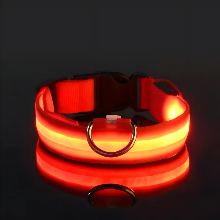 LED Dog Collar